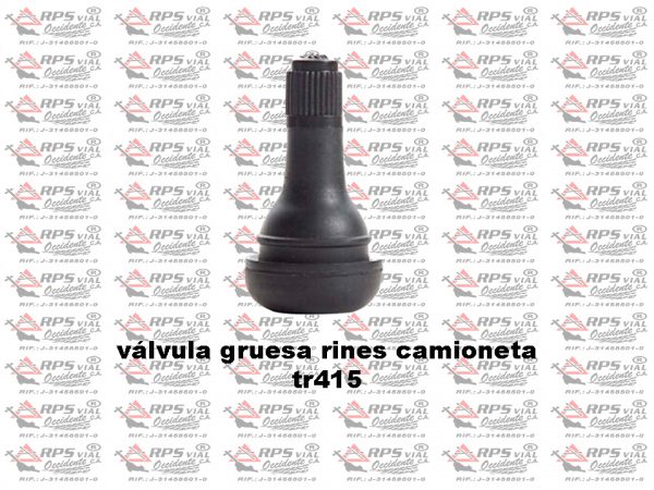 valvula-gruesa-riens-camioneta-tr415